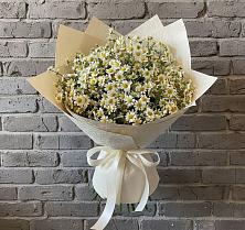 Букет цветов из:  Ромашки #REPLACE_PRED# Урмарах
