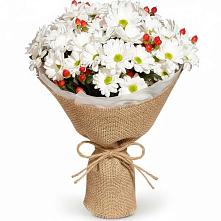 Букет цветов из:  Хризантемы #REPLACE_PRED# Урмарах