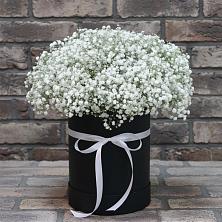 Цветочная композиция из Гипсофила в шляпной коробке в Урмарах