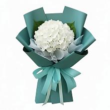 Букет цветов из:  Гортензия в Урмарах